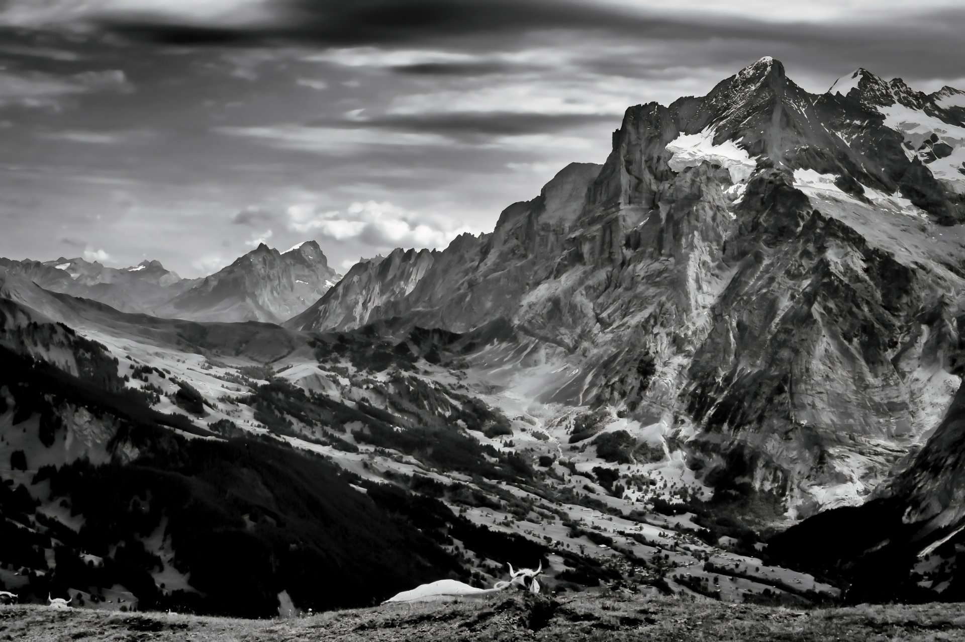 20251027_dsc06765_topaz_high_fidelity_v2_1x