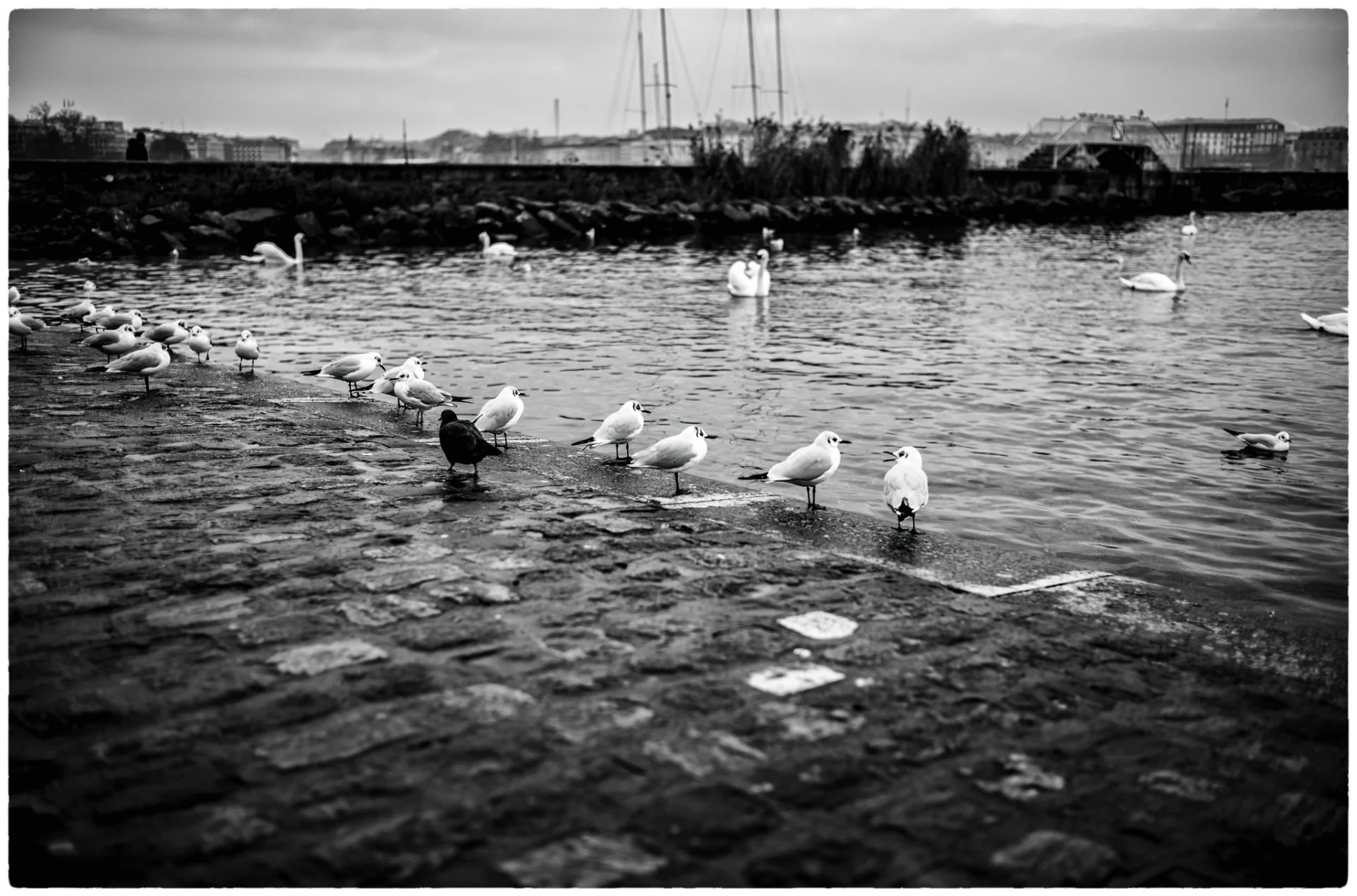 98184268_ea2ed0a6_9818_4268_af19_a36612b93383