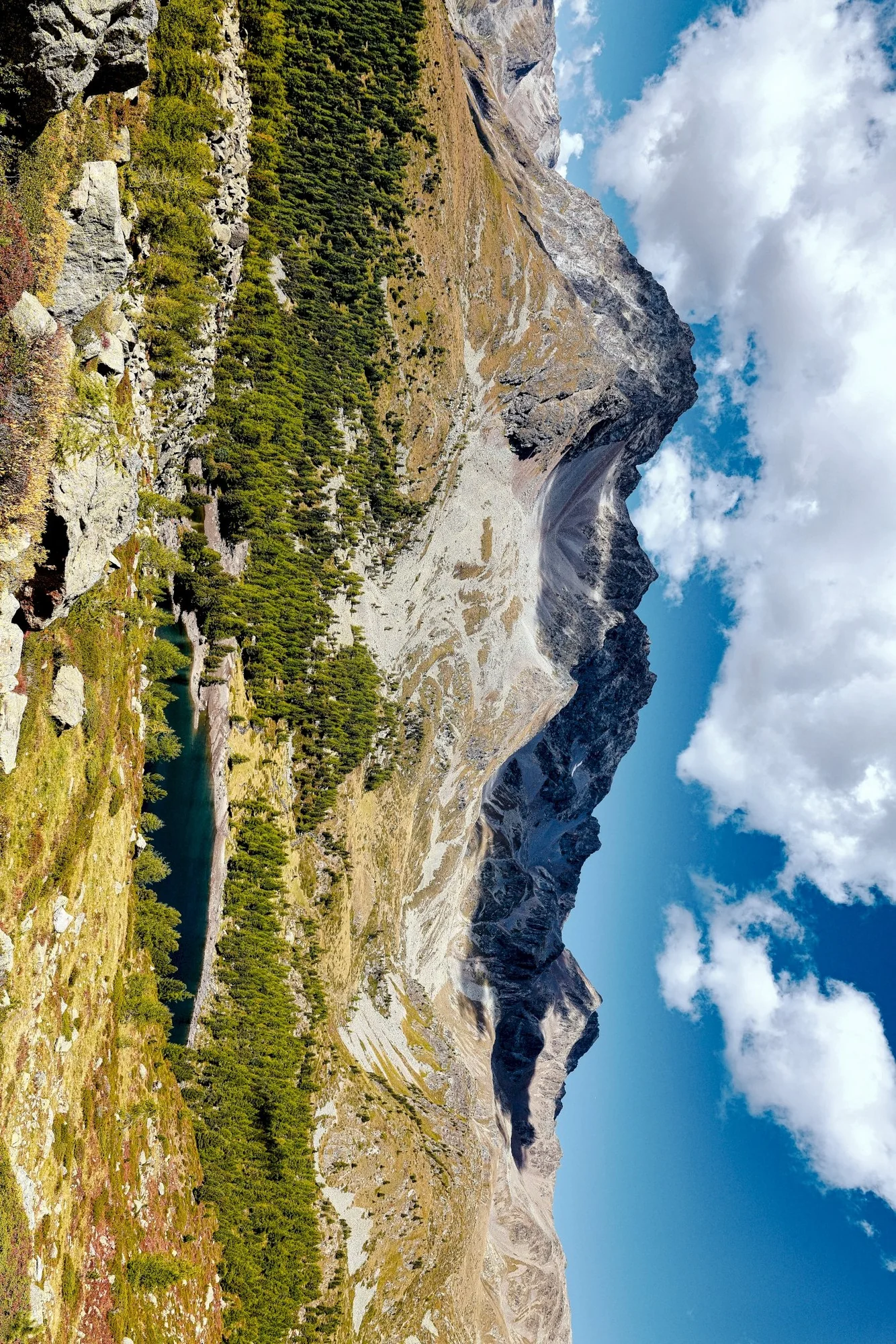 Silence des Cimes Alpines