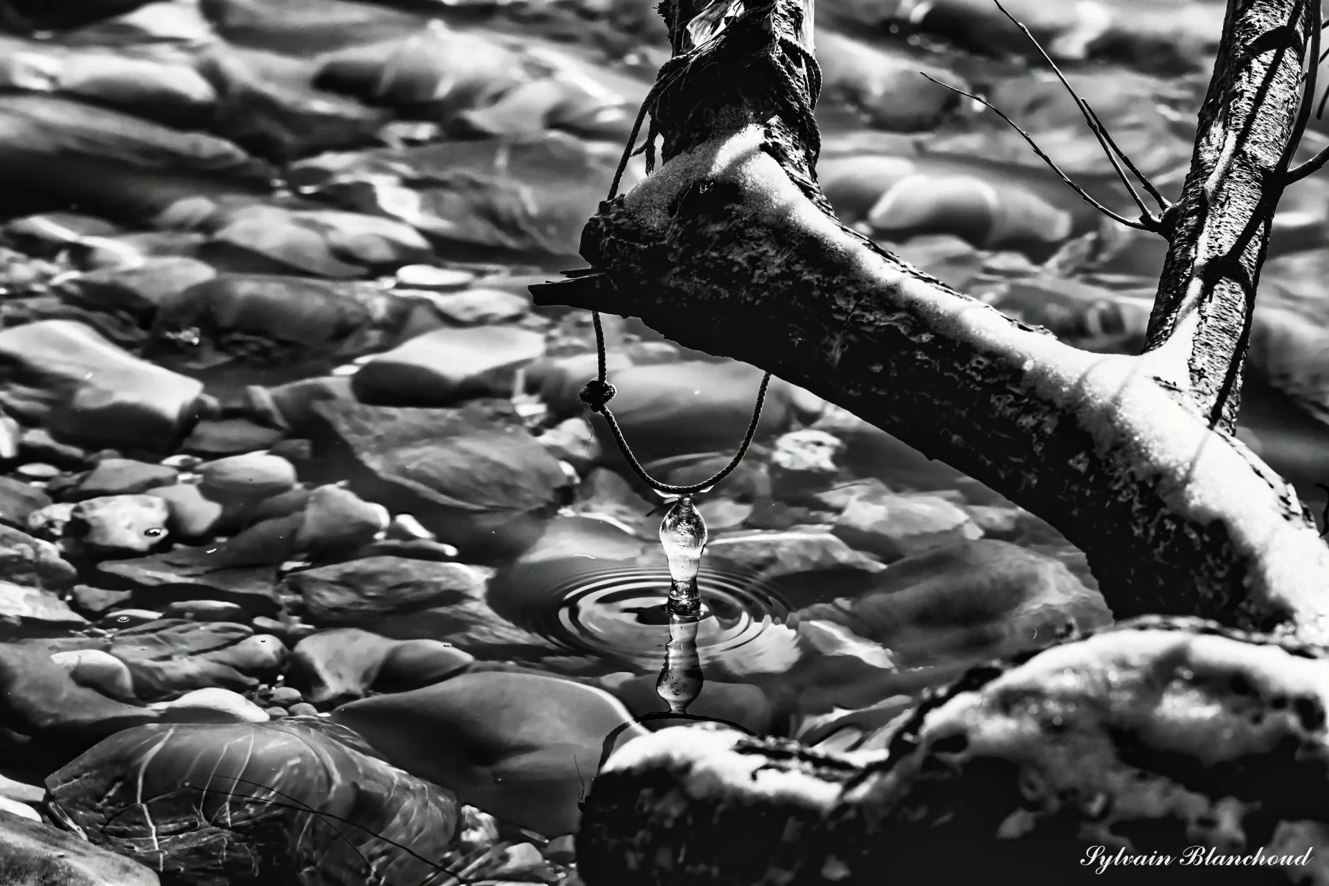 L'Essence du Torrent