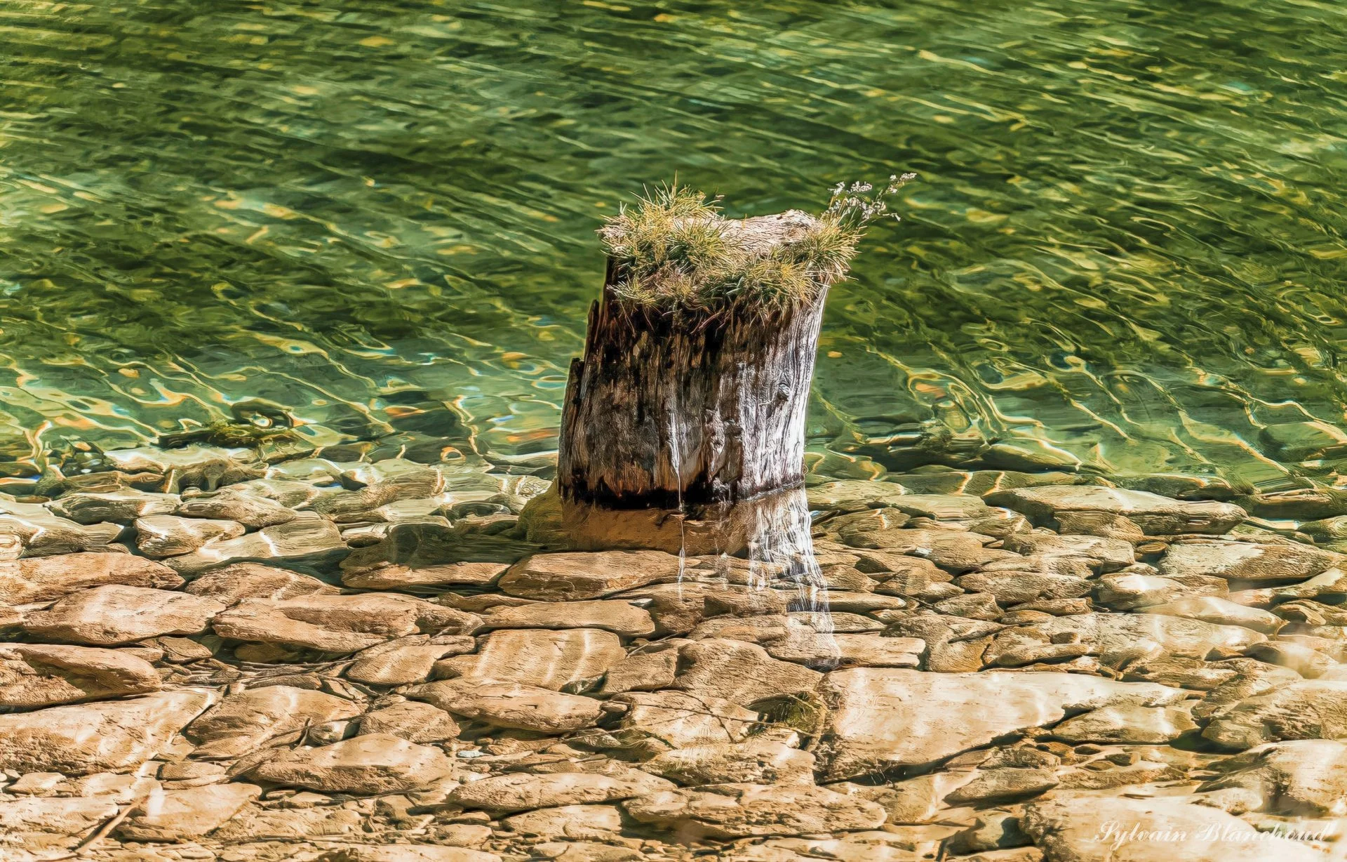 Mémoire d'Eau et de Pierre