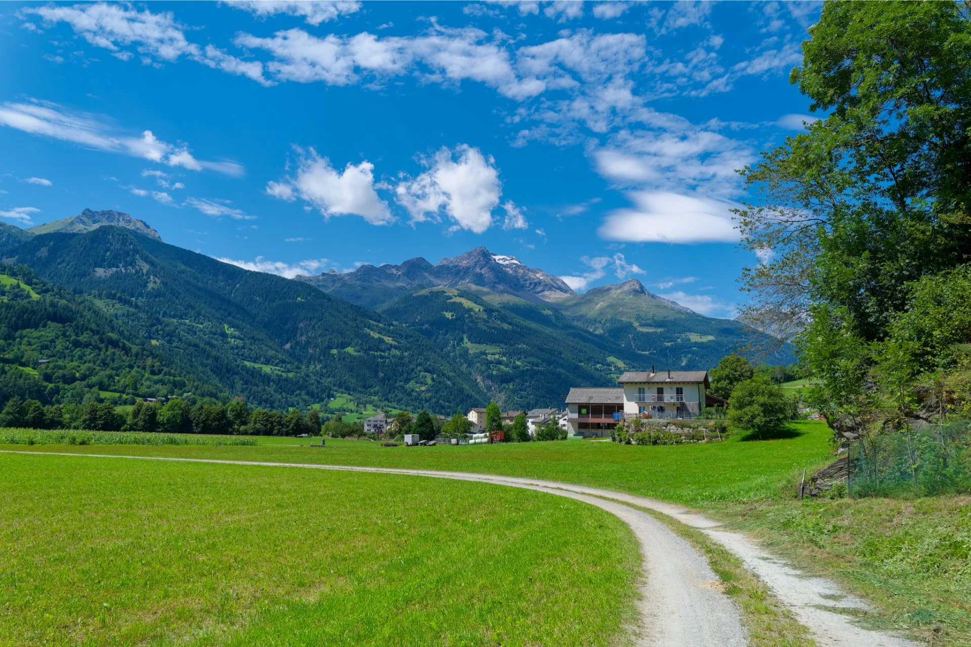 Chemin vers la Sérénité Alpine