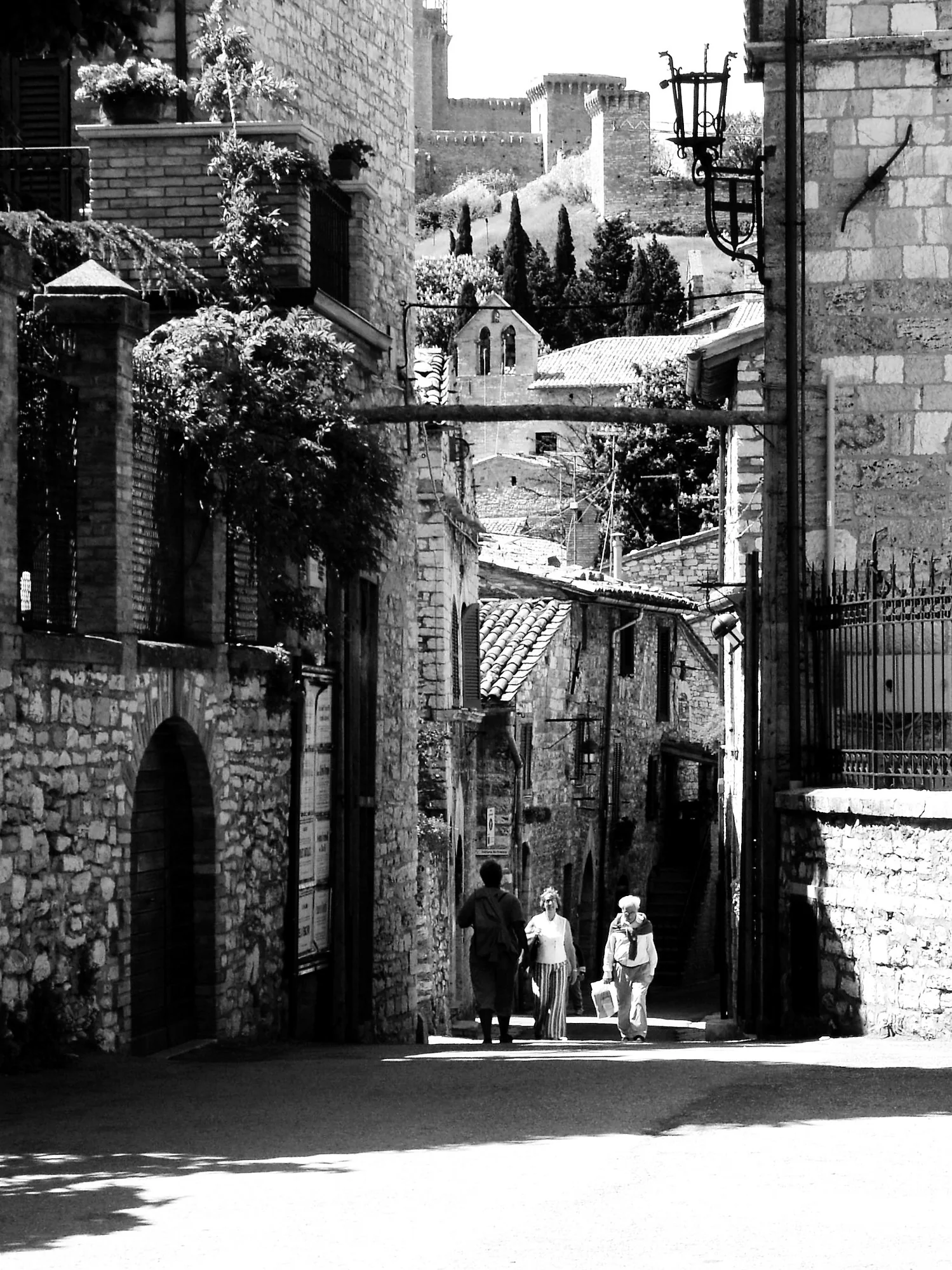 20251027_b0002924_dxo