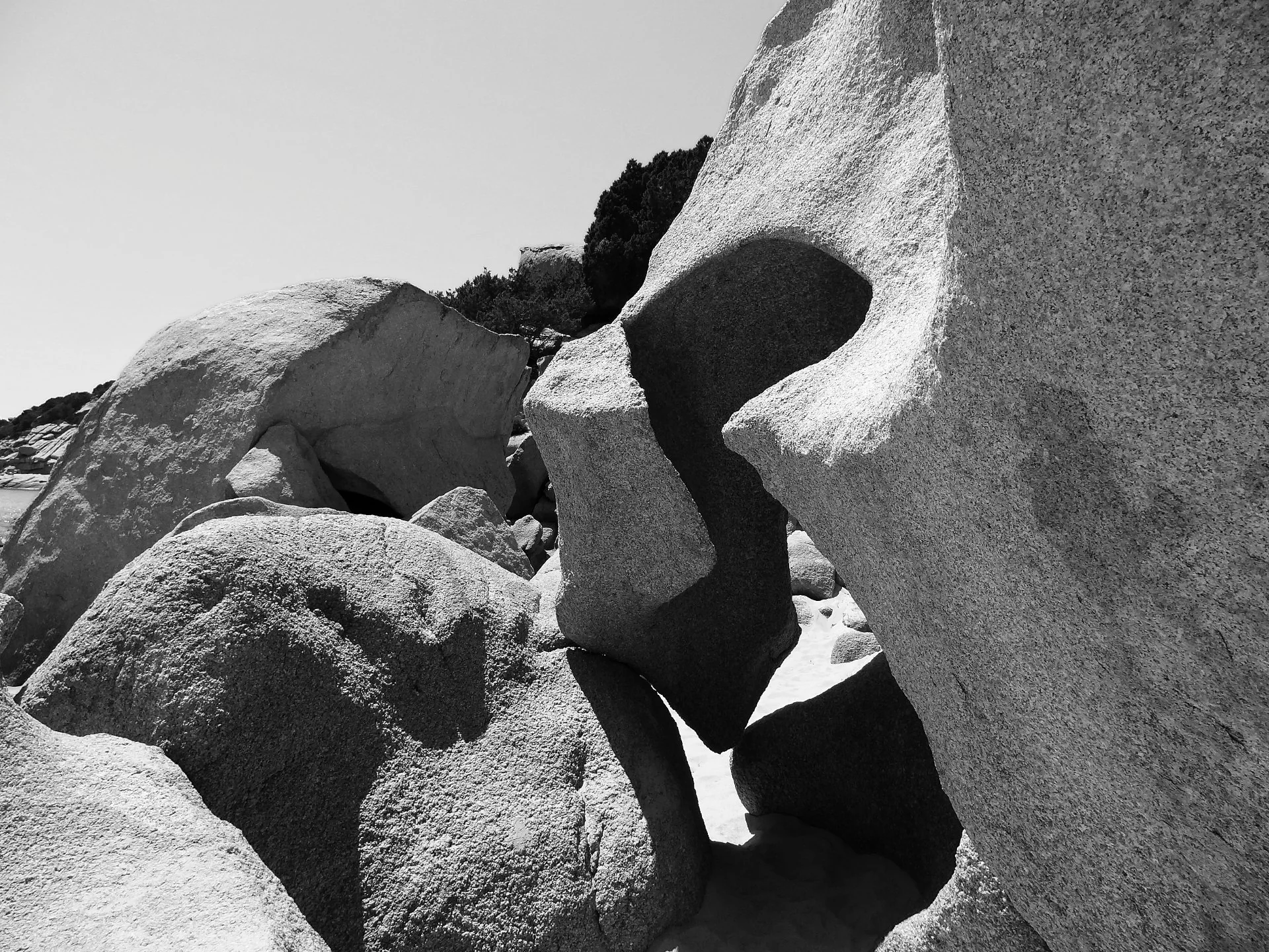 20251027_b0018641_dxo