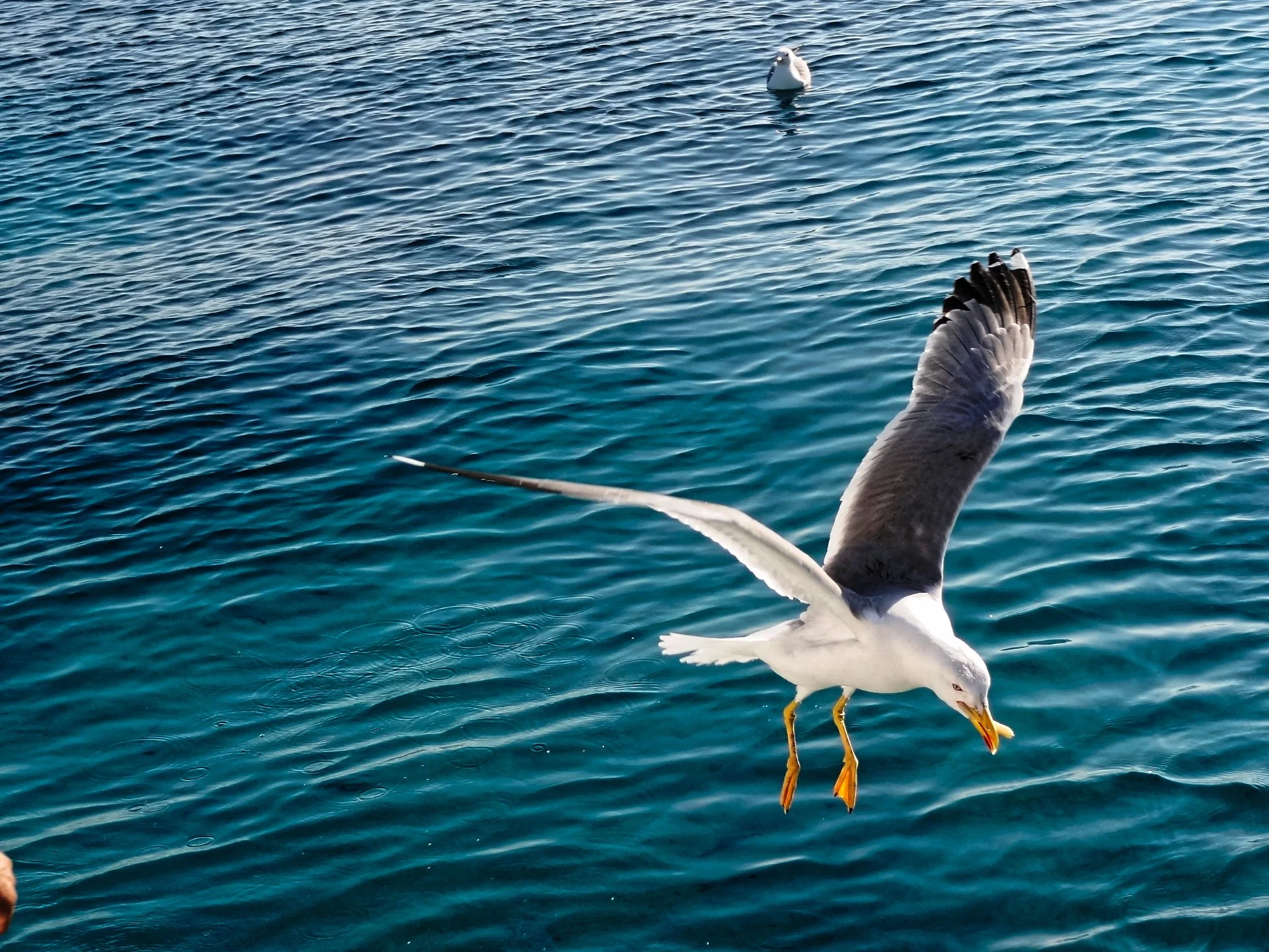 20251027_b0018839_dxo