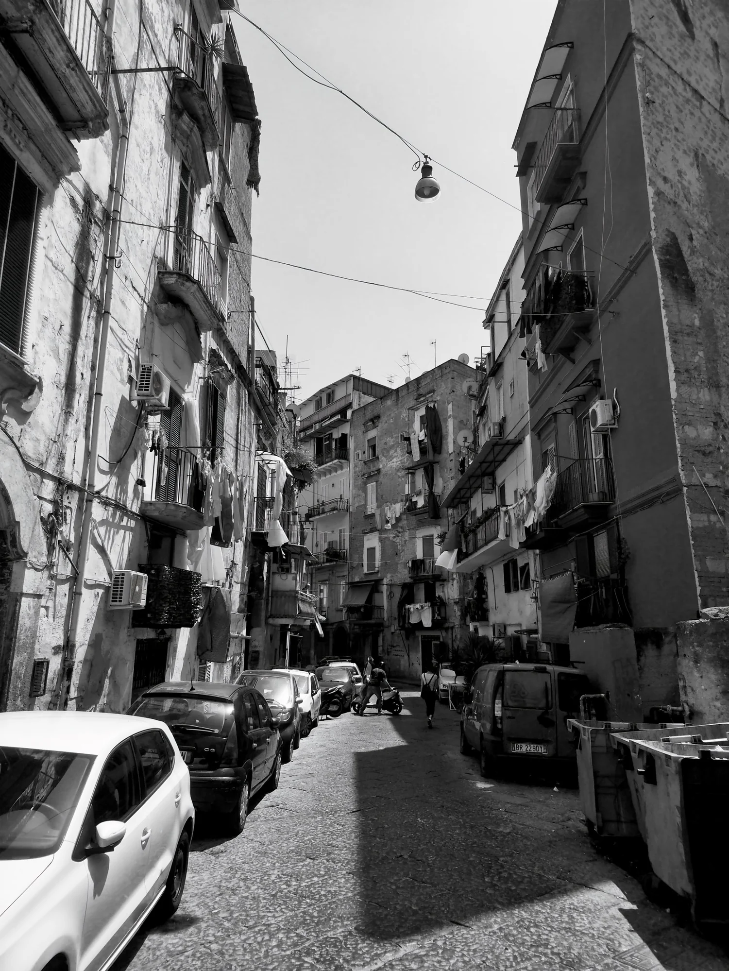 20251027_dsc_0278_topaz_high_fidelity_v2_1x