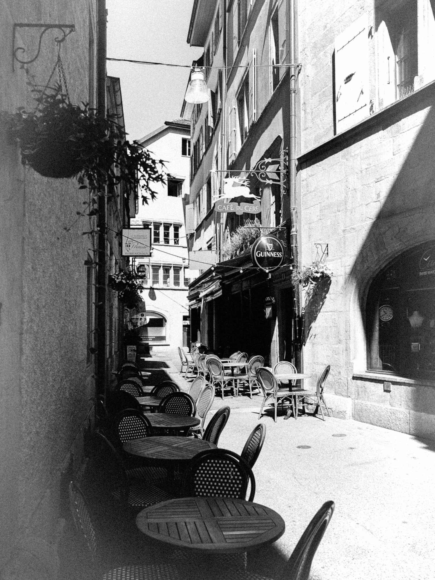 Terrasse du Silence Urbain
