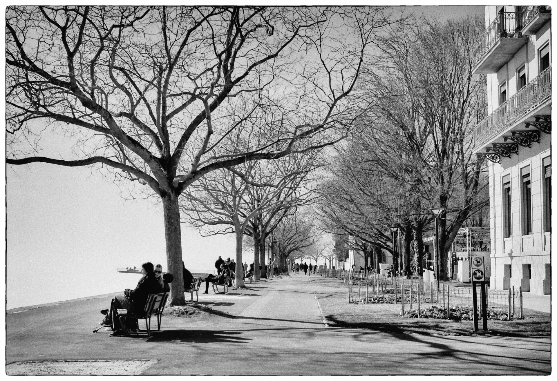 Contemplation au bord du lac