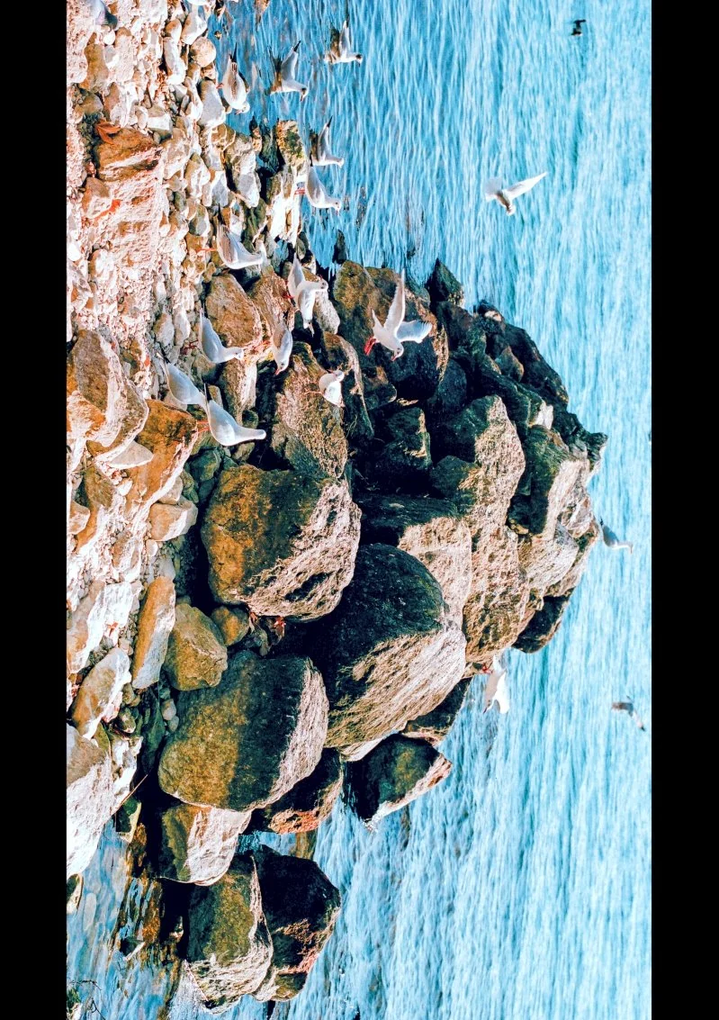 Sanctuaire des Mouettes