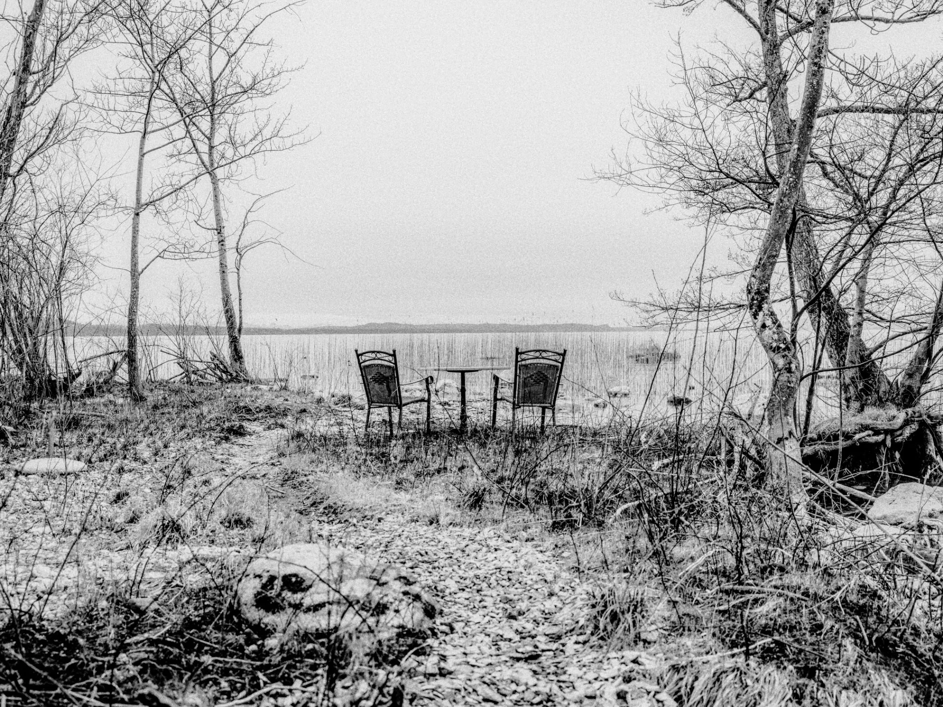 Silence au Bord de l'Eau