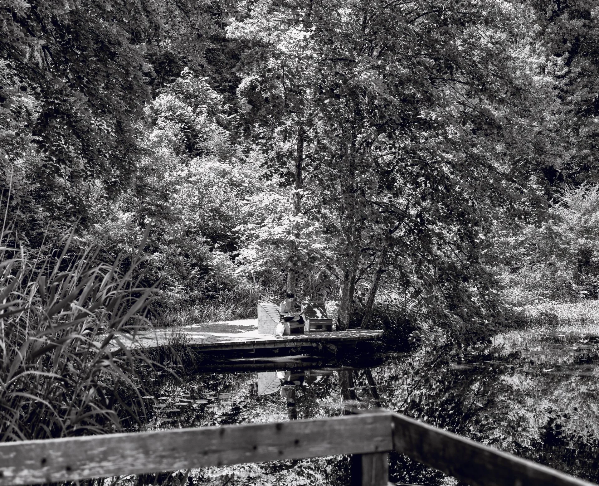 Reflets Silencieux d'Automne