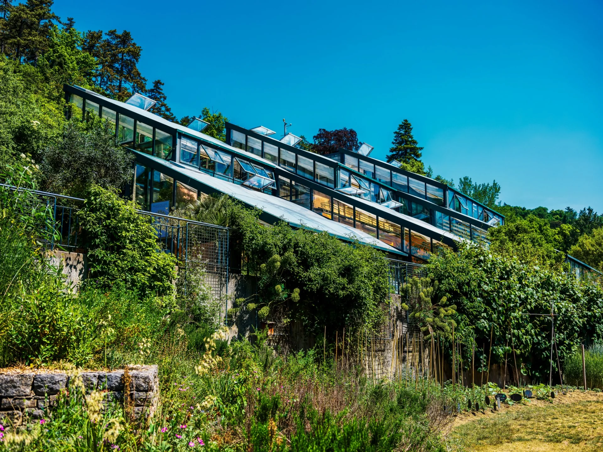 Architecture Suspendue Entre Ciel et Verdure