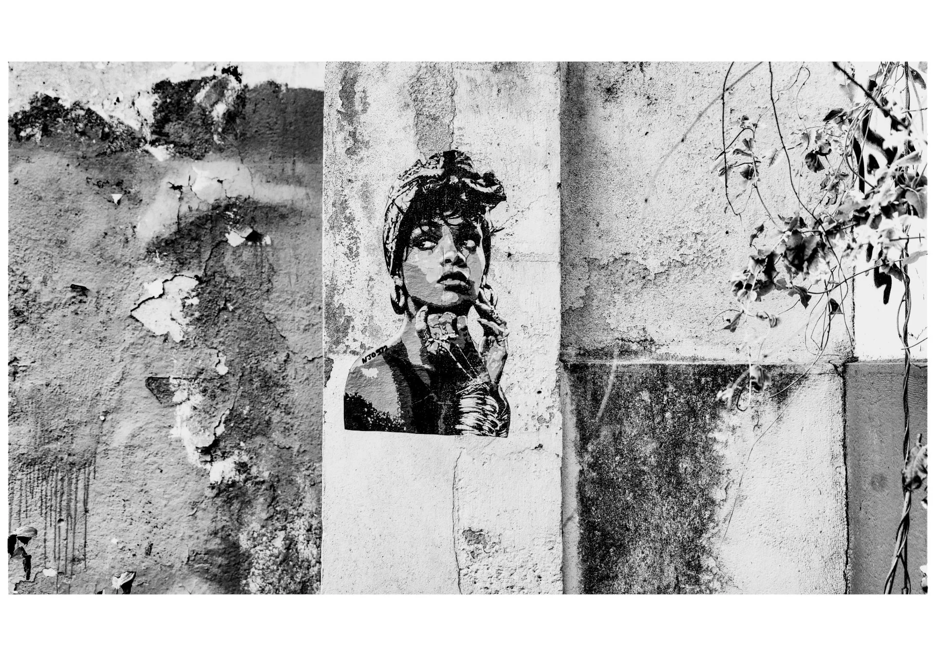 43358102_138b5799_8da2_4335_8102_2016b9ec6e4b