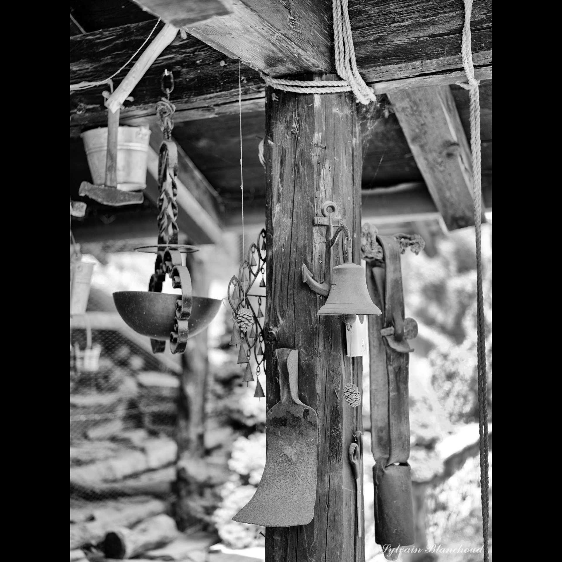 79703097_79703097_0E8F_4E0F_929E_791113C7B3A6_BECD0583_30AE