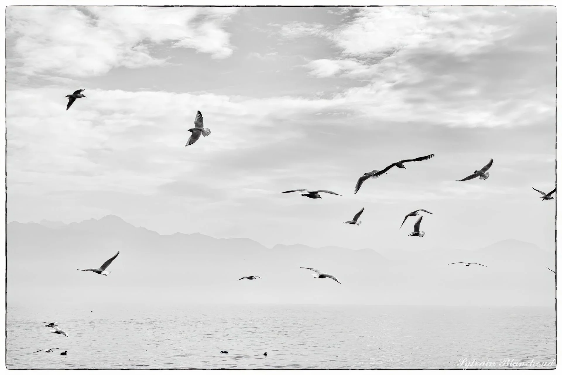 Ballet Silencieux sur le Léman