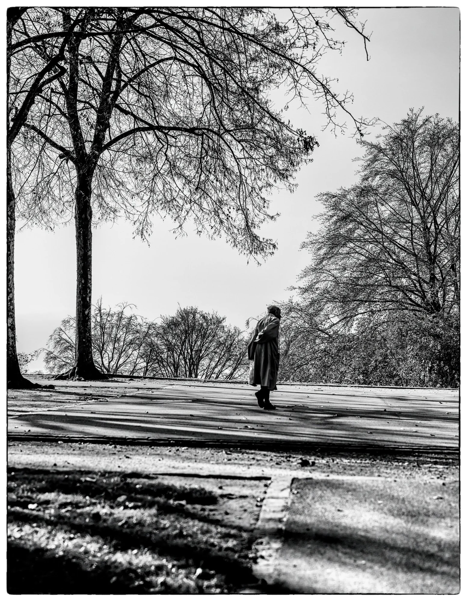 Solitude d'Hiver au Léman