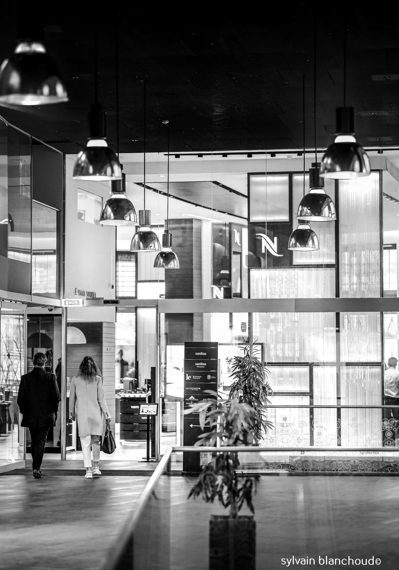 Lumières Suspendues du Silence