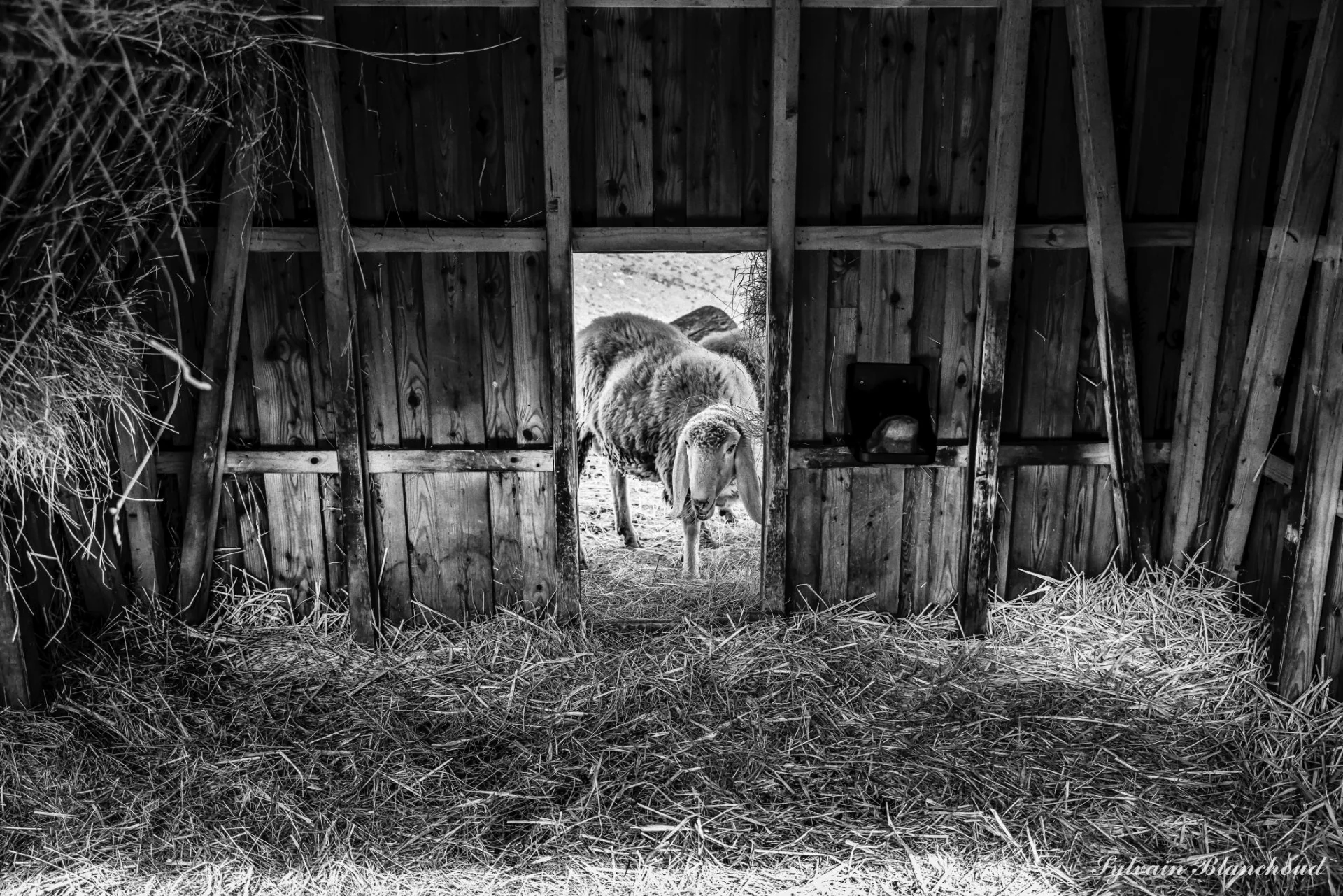 L'Étable aux Murmures